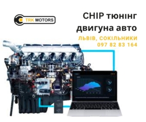 EGR егр видалення сажевого фільтру Львів