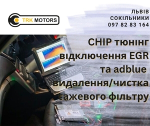EGR ЕГР прошивка машини chip tuning чіп тюнінг EGR сажевий фільтр Adblue Львів СТО